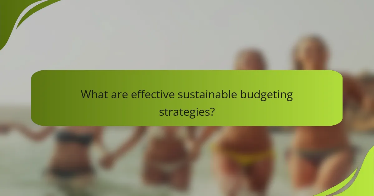 What are effective sustainable budgeting strategies?