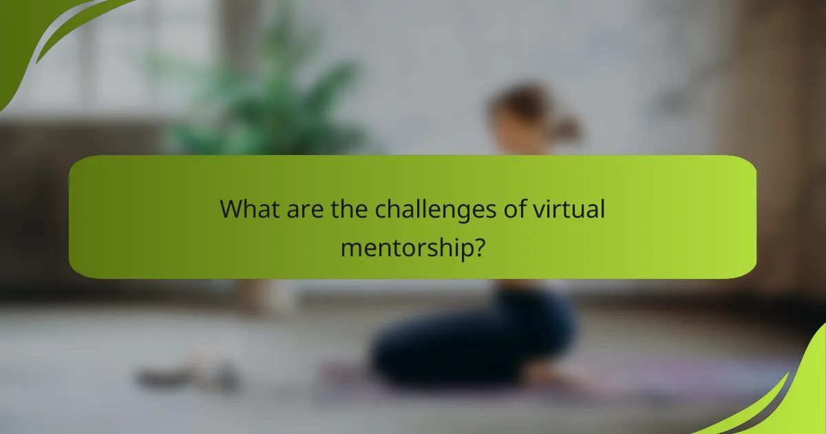 What are the challenges of virtual mentorship?