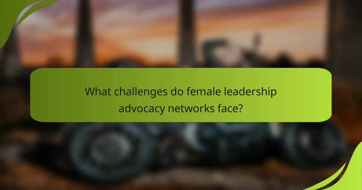 What challenges do female leadership advocacy networks face?