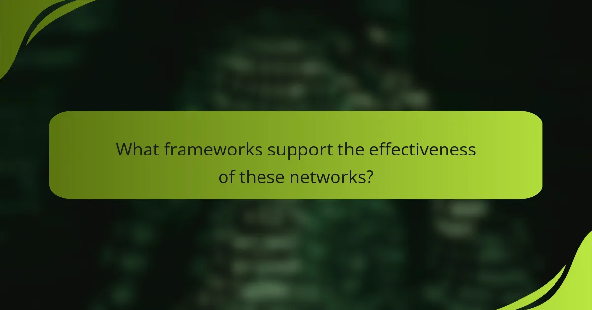 What frameworks support the effectiveness of these networks?