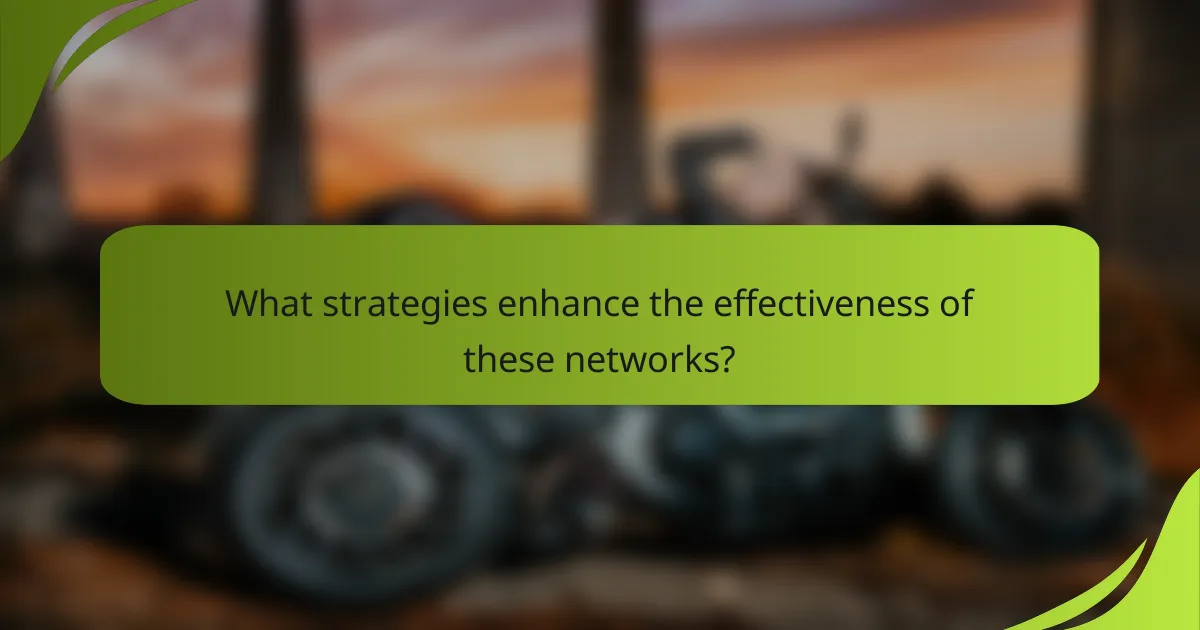 What strategies enhance the effectiveness of these networks?