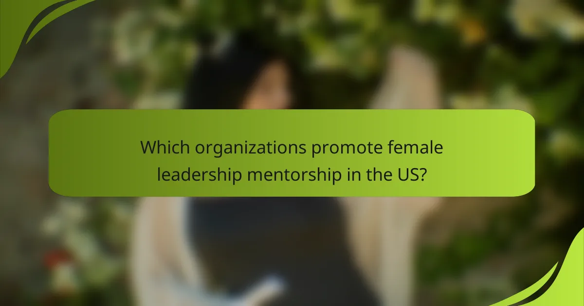 Which organizations promote female leadership mentorship in the US?